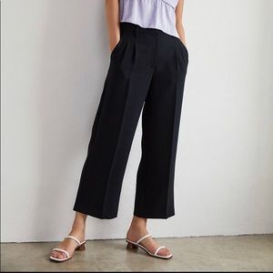 Aritzia pants